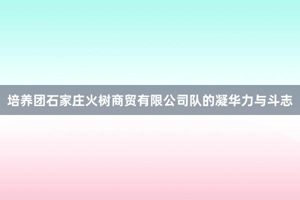 培养团石家庄火树商贸有限公司队的凝华力与斗志
